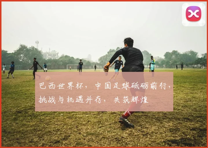 巴西世界杯，中国足球砥砺前行，挑战与机遇并存，共筑辉煌