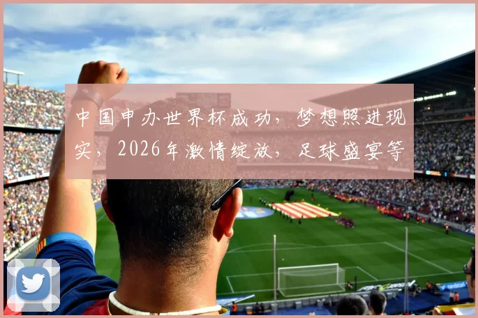 中国申办世界杯成功，梦想照进现实，2026年激情绽放，足球盛宴等你来