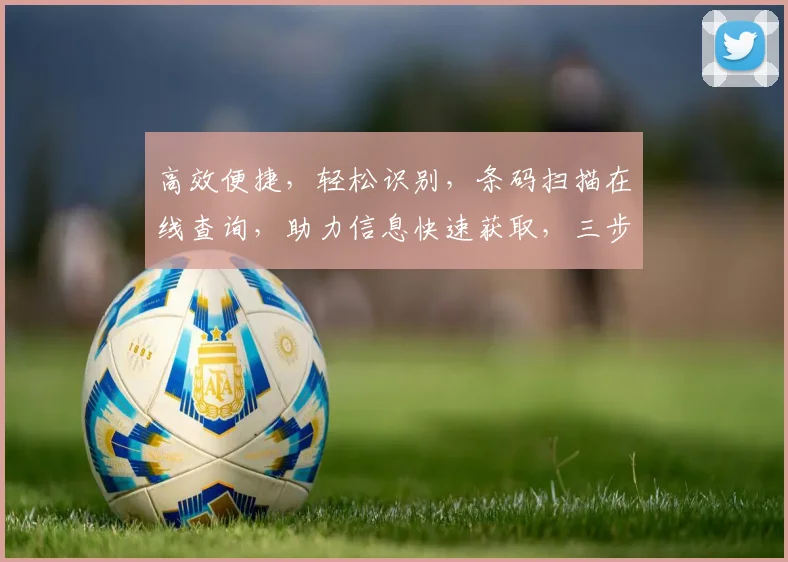 高效便捷，轻松识别，条码扫描在线查询，助力信息快速获取，三步操作，体验无忧。