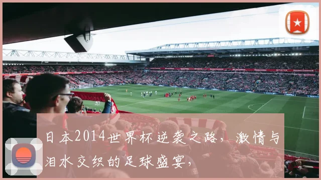 日本2014世界杯逆袭之路，激情与泪水交织的足球盛宴，