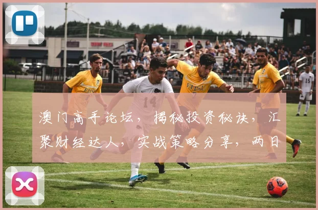 澳门高手论坛，揭秘投资秘诀，汇聚财经达人，实战策略分享，两日内必看