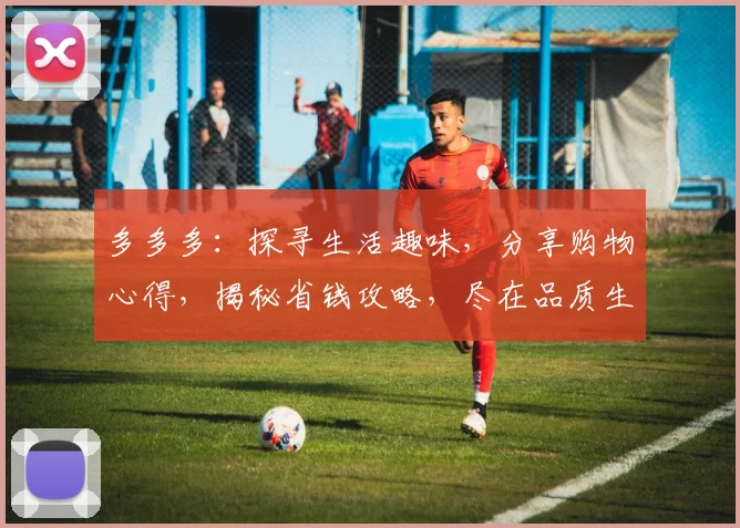 多多多：探寻生活趣味，分享购物心得，揭秘省钱攻略，尽在品质生活之道