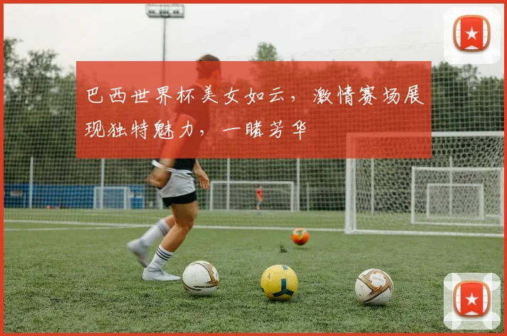 巴西世界杯美女如云，激情赛场展现独特魅力，一睹芳华